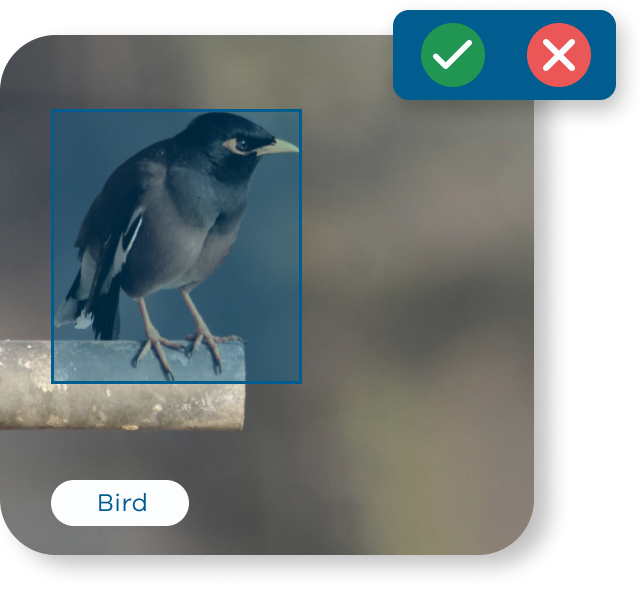 AI Model Validation